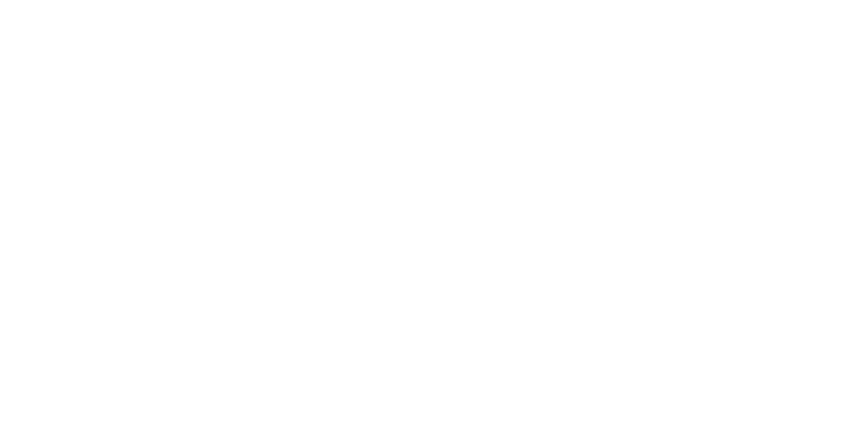 Logo ICON Bauness 2035